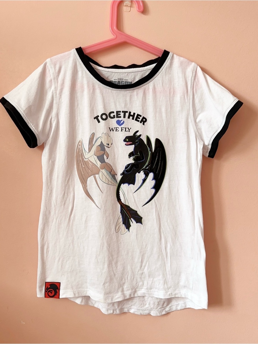How to Train Your Dragon T-shirt